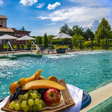 Hotel Forest Hills Зирц Экстерьер фото